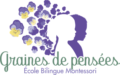 Graines de Pensées, retour à l'accueil